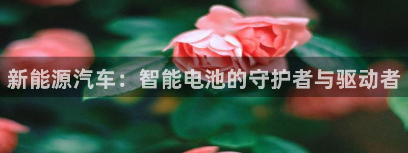 优发国际集团股份有限公司官网：新能源汽车：智能电池的守护者与驱动者