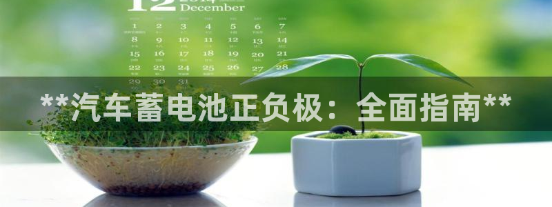 优发国际登录168：**汽车蓄电池正负极：全面指南**